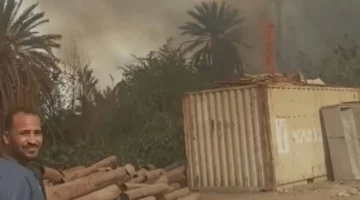 حريق هائل يلتهم مساحات واسعة من أشجار النخيل في محافظة الأقصر